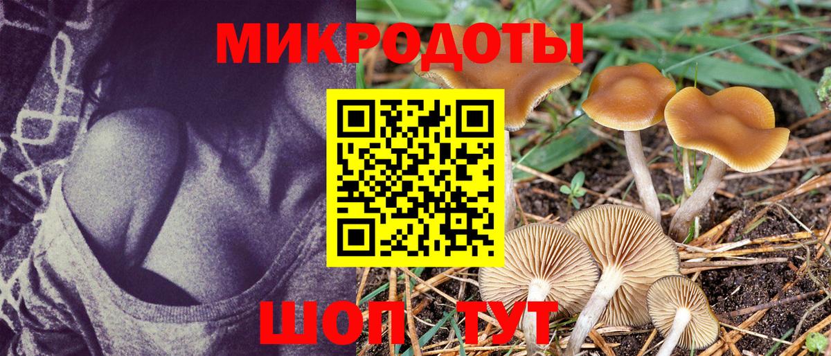 Галлюциногенные грибы Cubensis Юрга